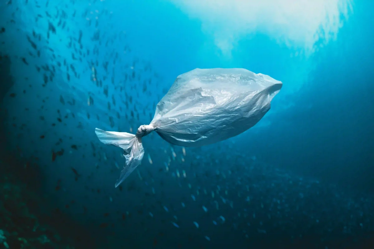 Cum să eviți și să te protejezi de microplastice în 2025 2 punga-de-plastic-in-forma-de-peste-plutind-in-ocean